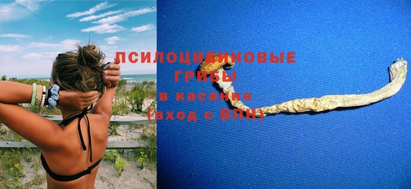a pvp Алексин