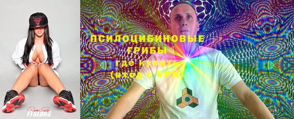 a pvp Алексин